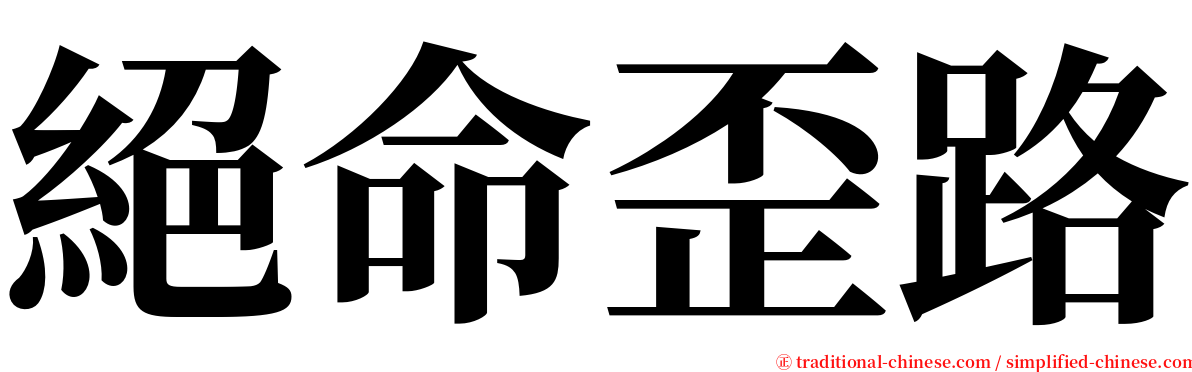 絕命歪路 serif font