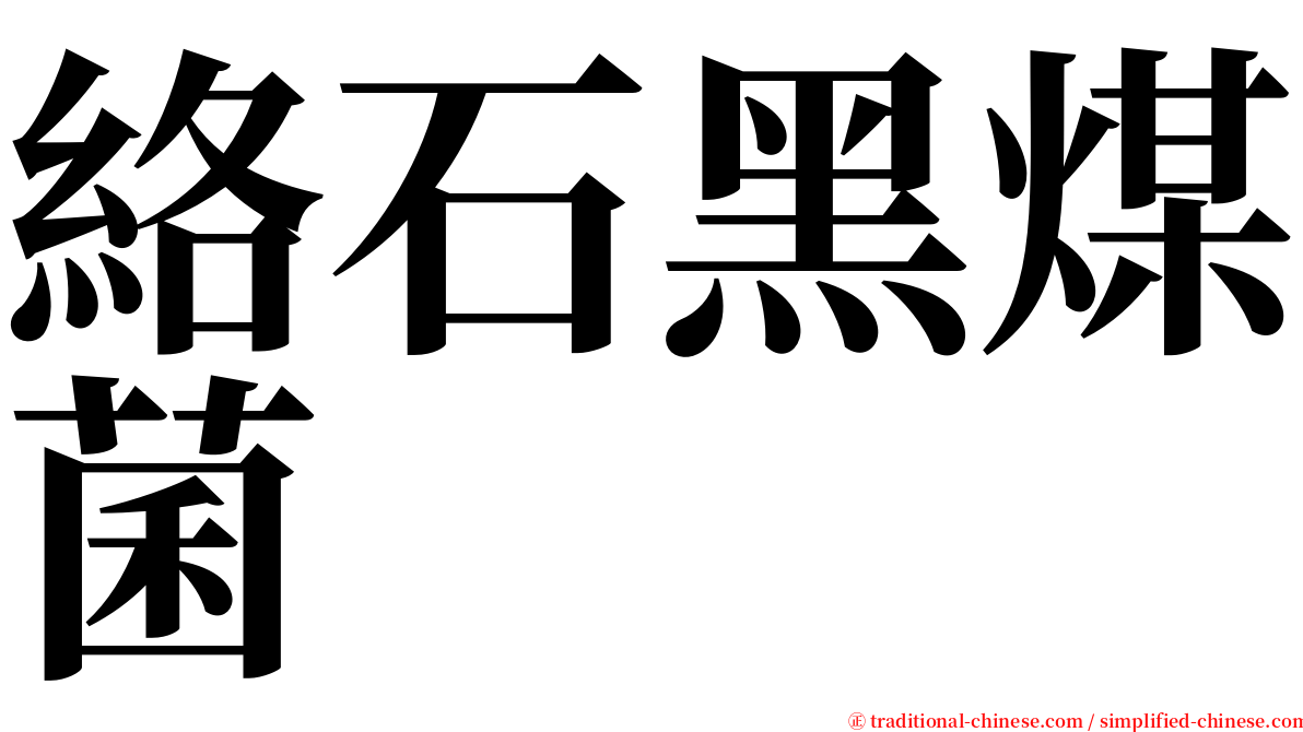 絡石黑煤菌 serif font