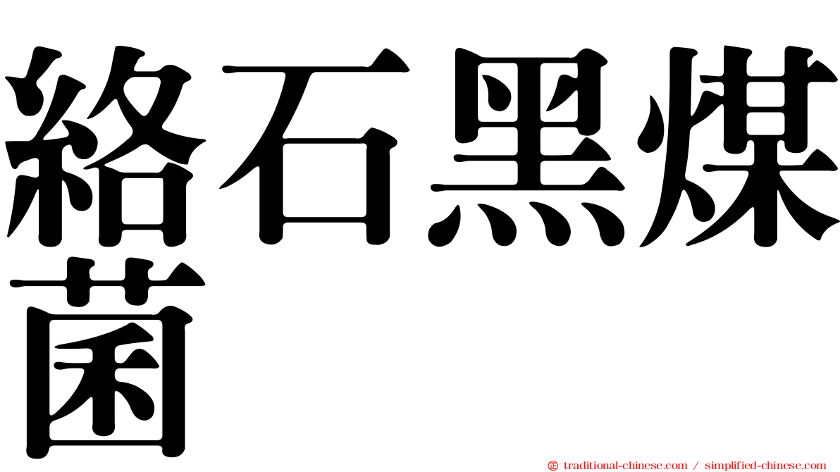 絡石黑煤菌