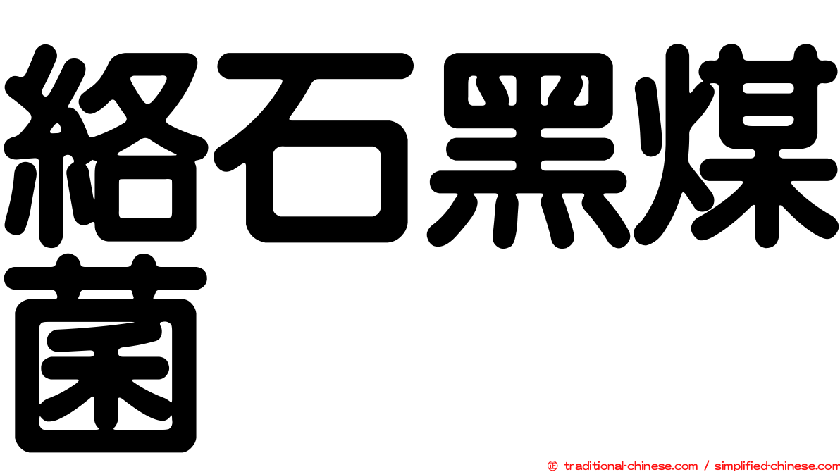絡石黑煤菌