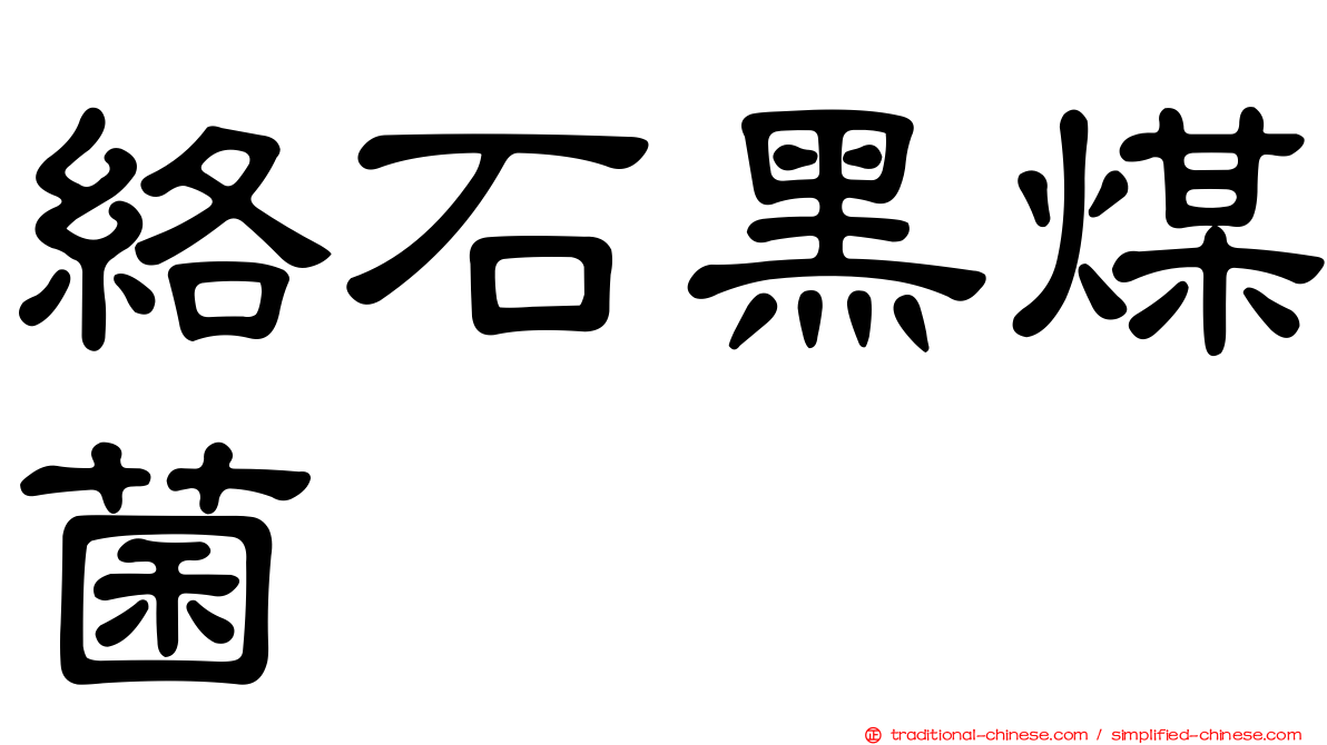 絡石黑煤菌