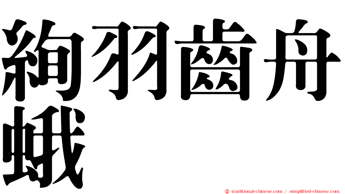 絢羽齒舟蛾