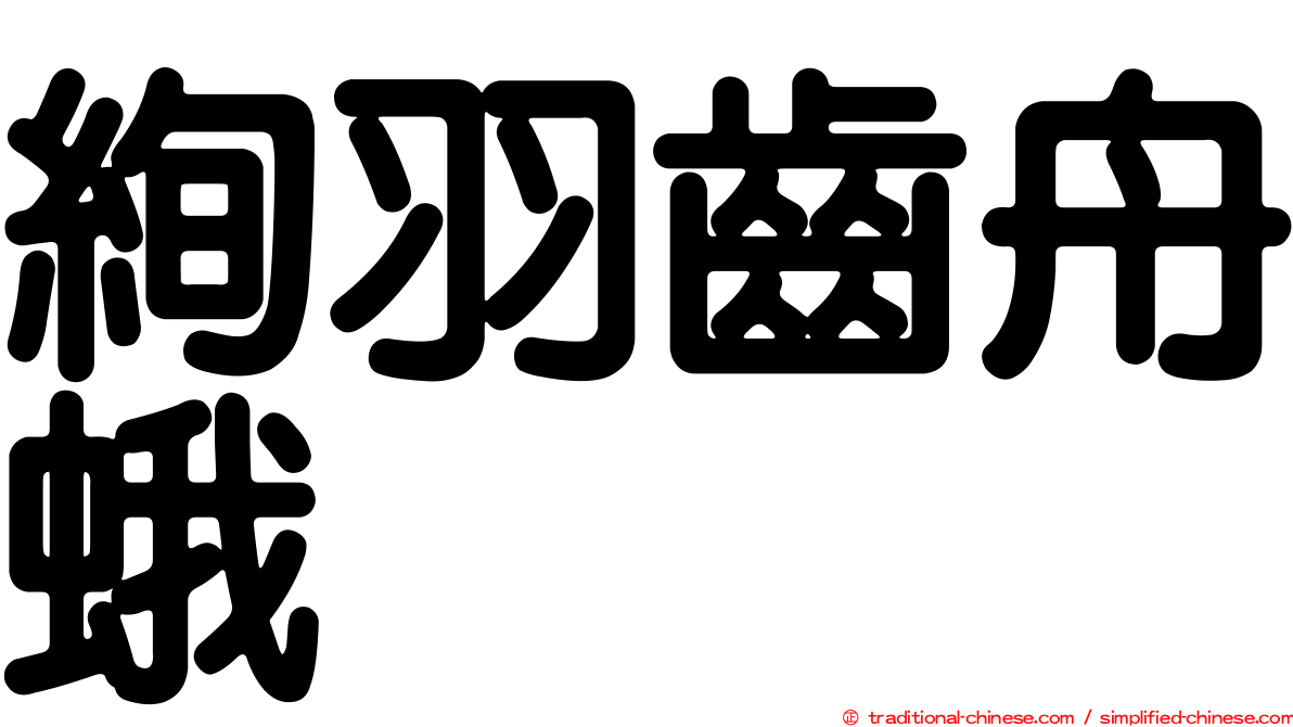 絢羽齒舟蛾