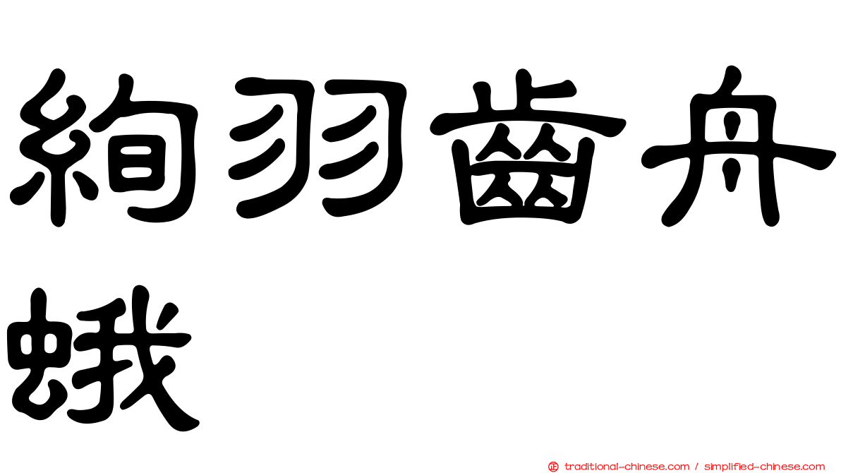 絢羽齒舟蛾