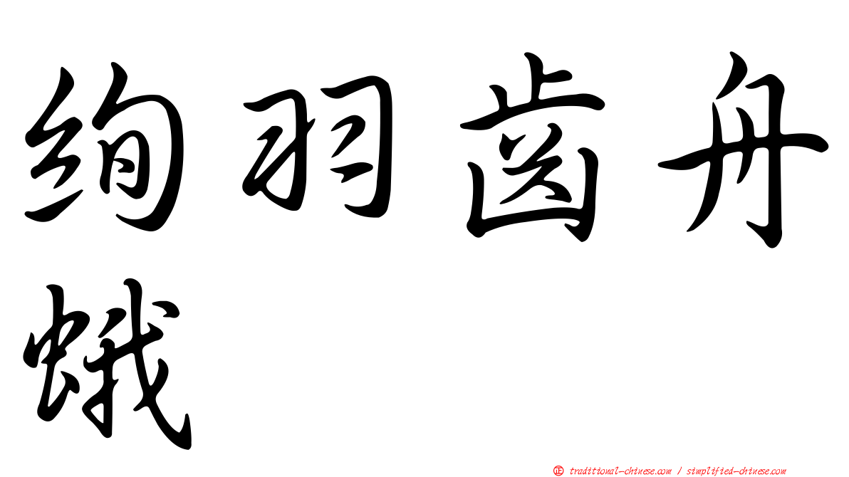 絢羽齒舟蛾