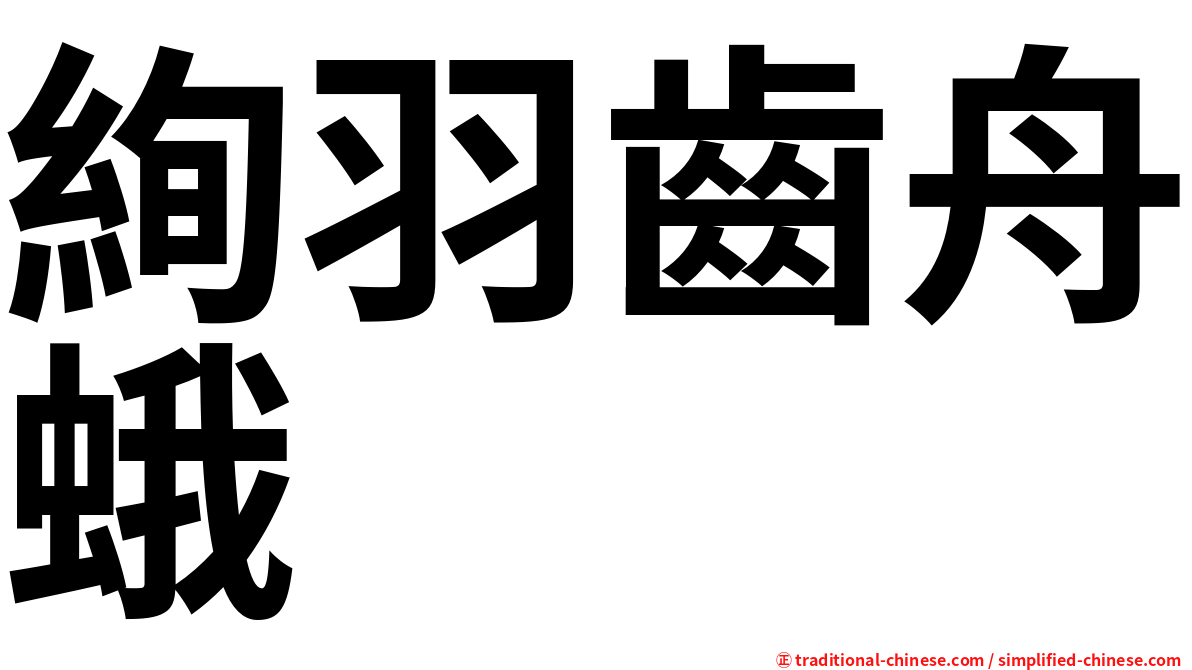 絢羽齒舟蛾