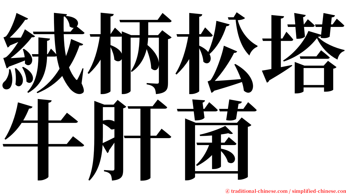 絨柄松塔牛肝菌 serif font