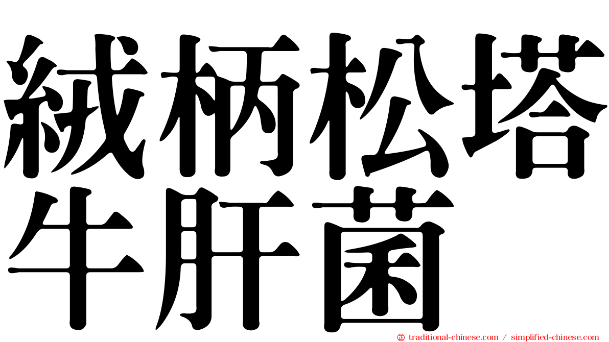 絨柄松塔牛肝菌