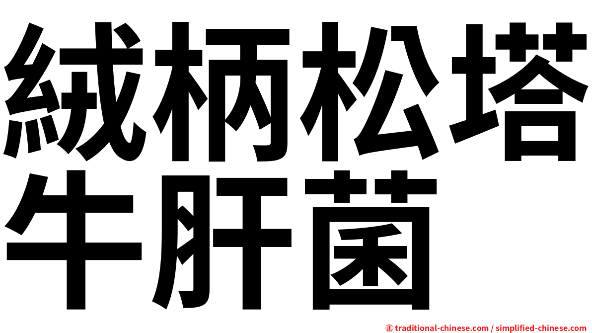 絨柄松塔牛肝菌