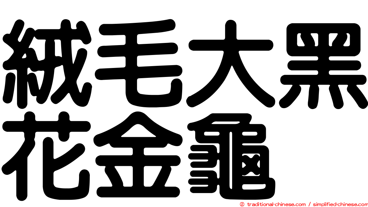 絨毛大黑花金龜