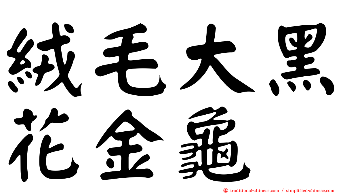 絨毛大黑花金龜