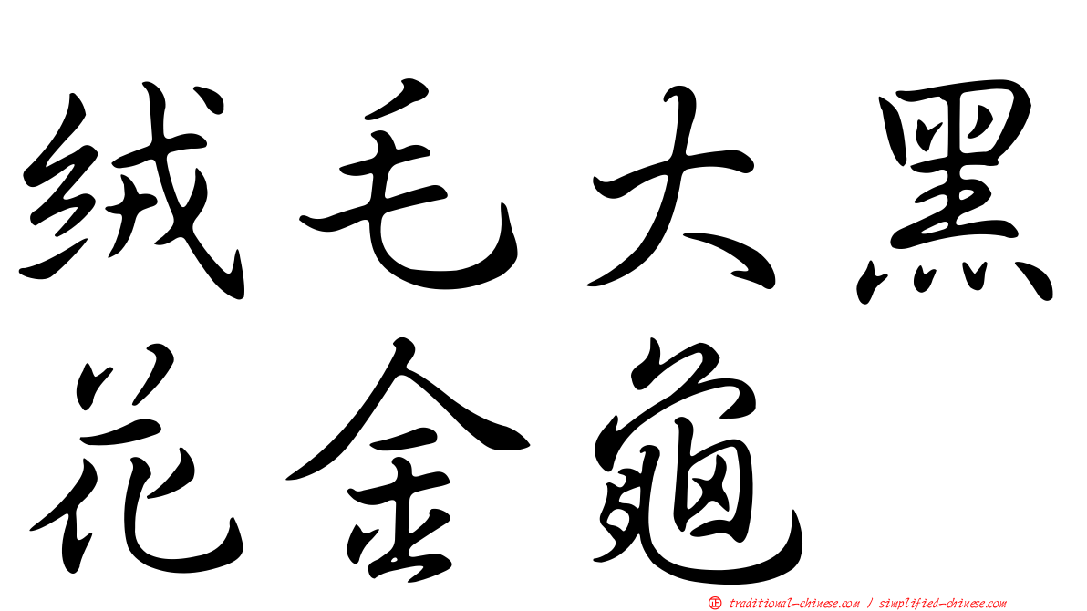 絨毛大黑花金龜