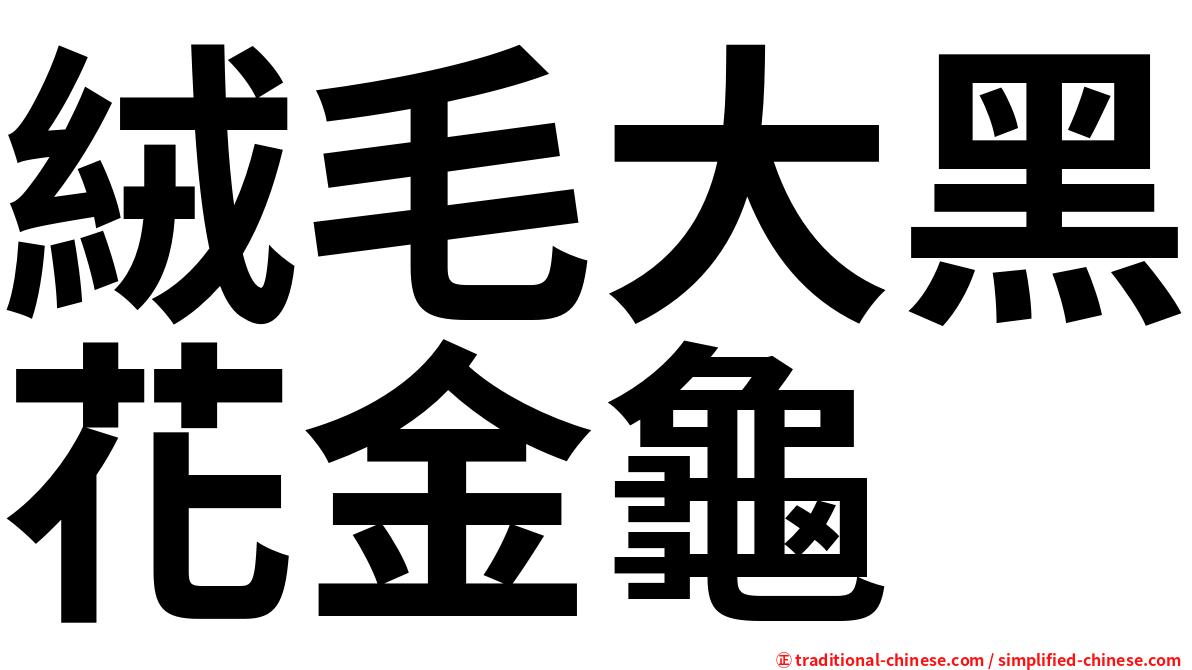 絨毛大黑花金龜