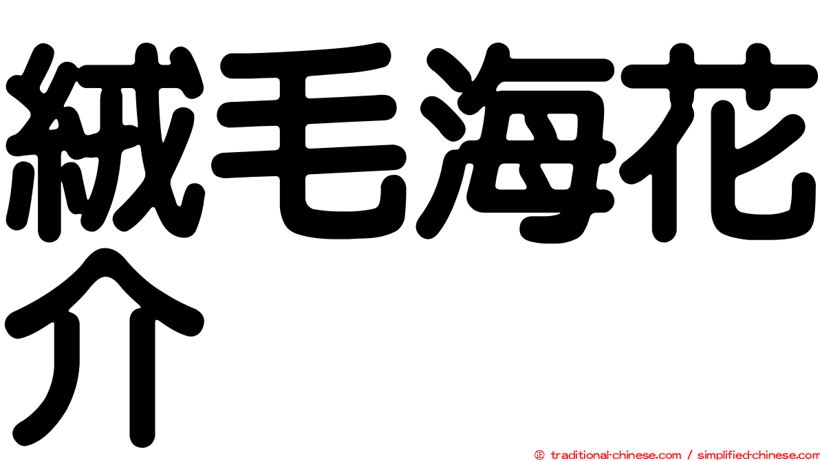 絨毛海花介