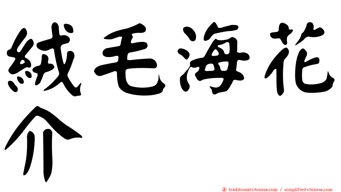 絨毛海花介