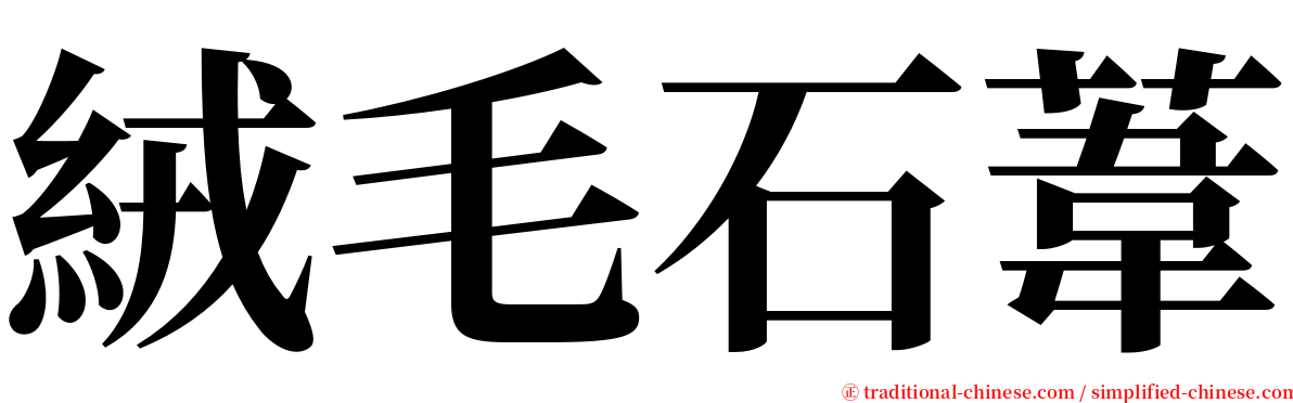 絨毛石葦 serif font