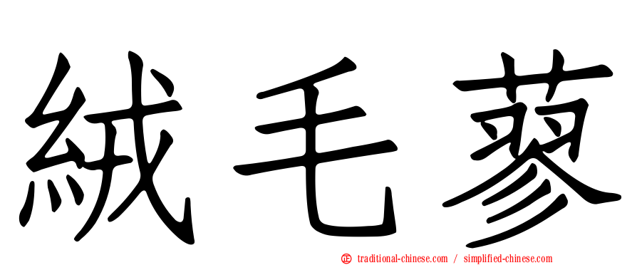 絨毛蓼
