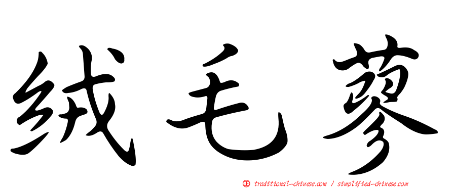 絨毛蓼