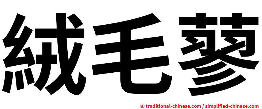 絨毛蓼