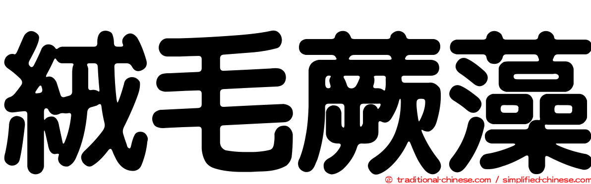 絨毛蕨藻