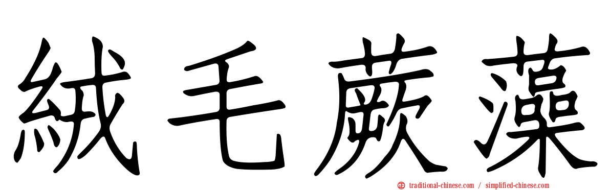 絨毛蕨藻