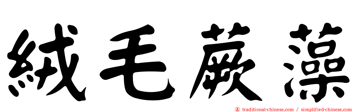 絨毛蕨藻