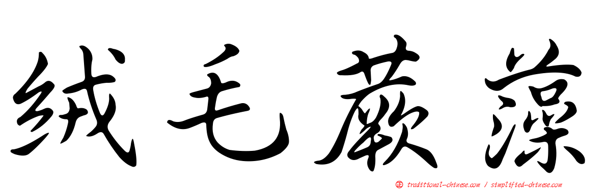 絨毛蕨藻