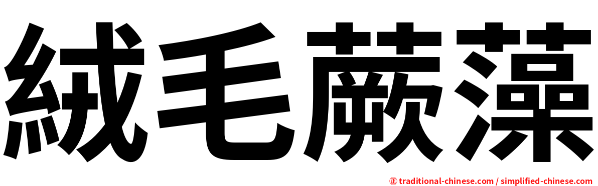 絨毛蕨藻