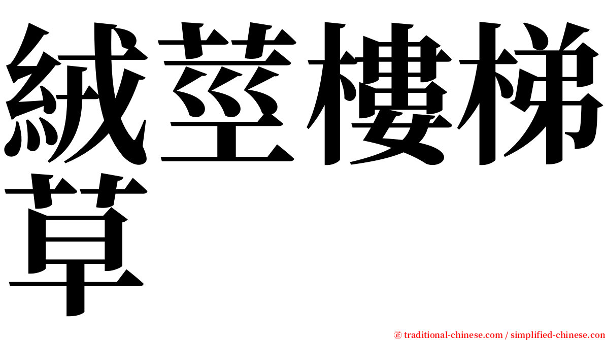 絨莖樓梯草 serif font