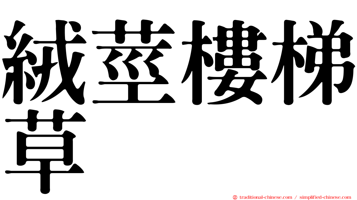 絨莖樓梯草