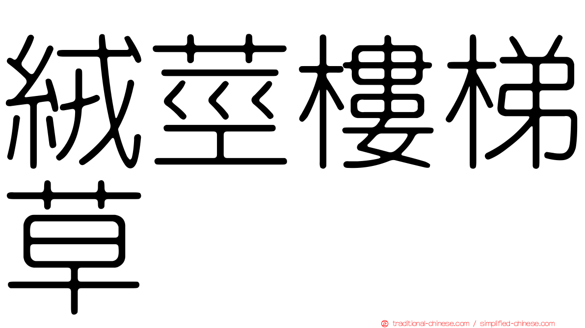 絨莖樓梯草