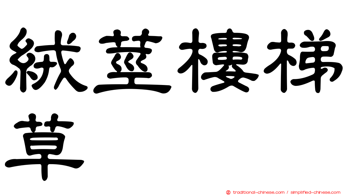 絨莖樓梯草