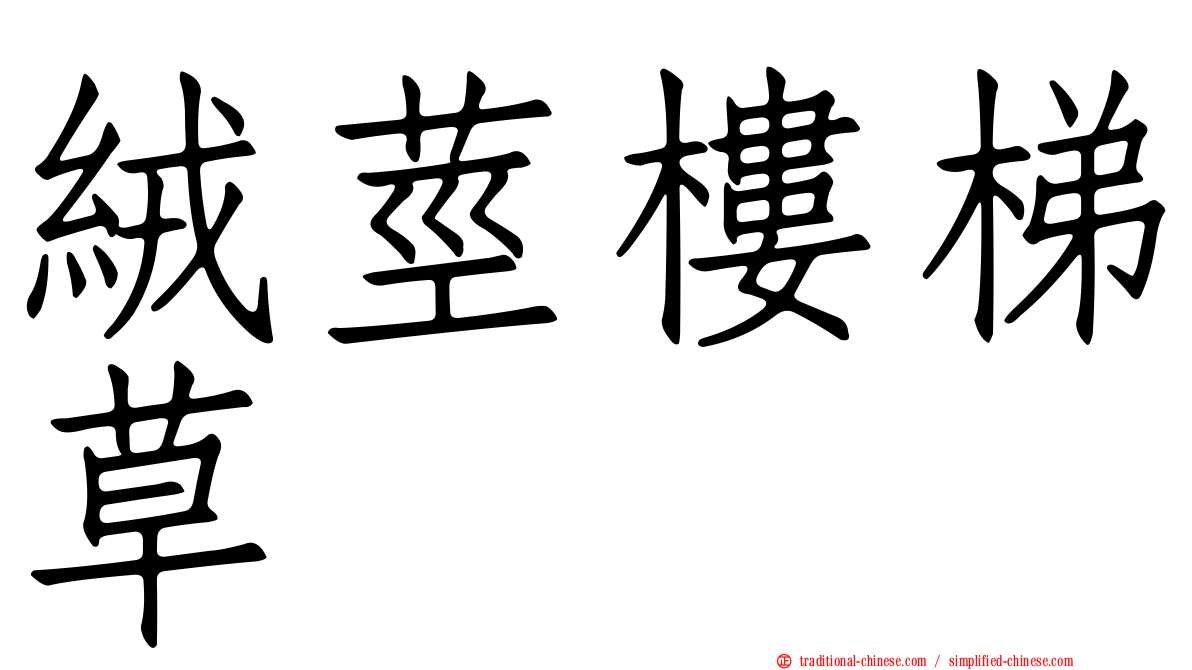 絨莖樓梯草