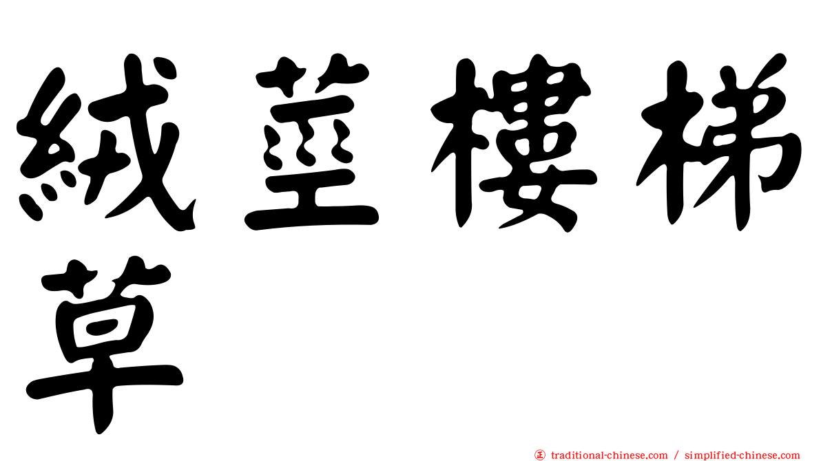 絨莖樓梯草