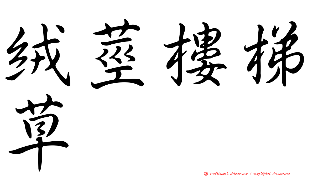 絨莖樓梯草