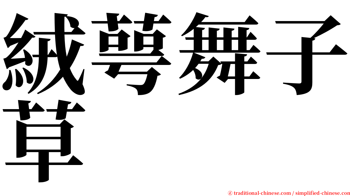 絨萼舞子草 serif font
