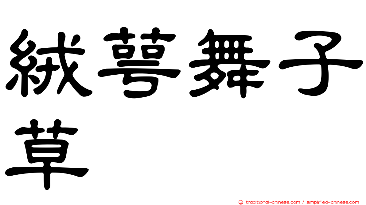 絨萼舞子草