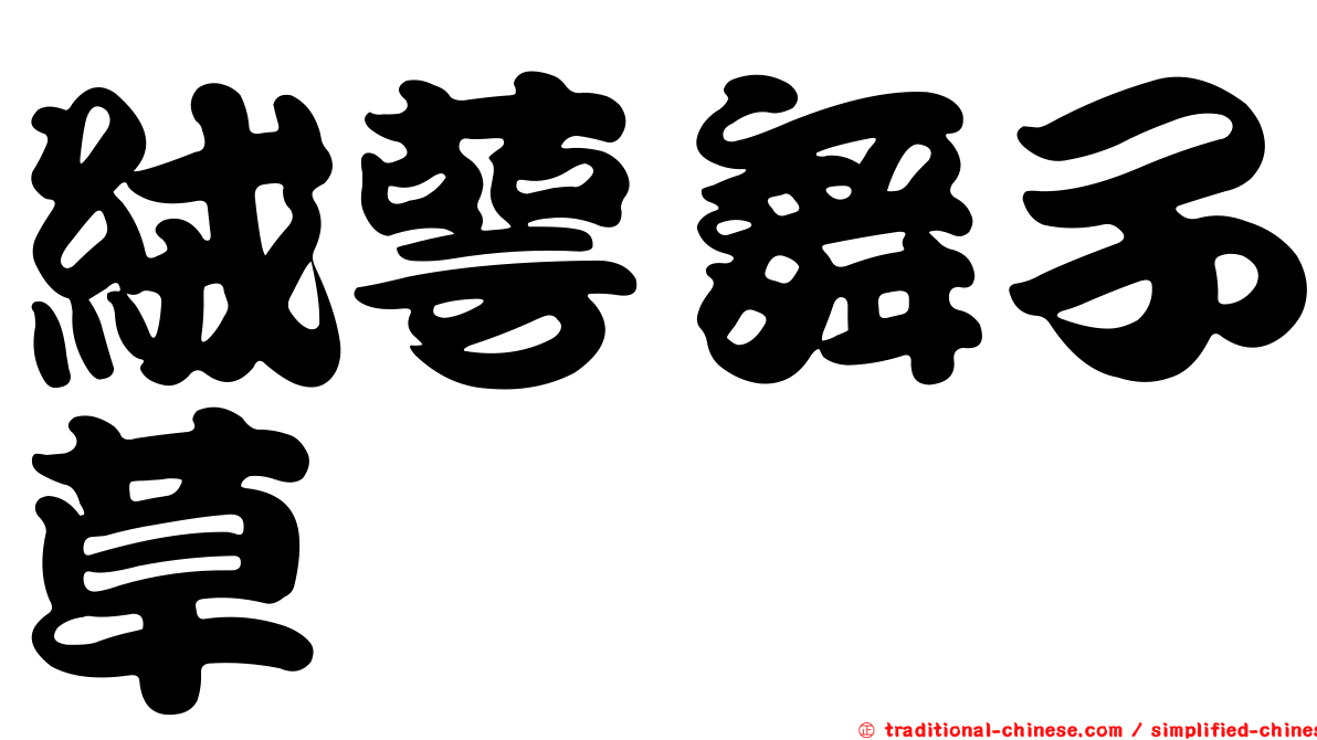 絨萼舞子草