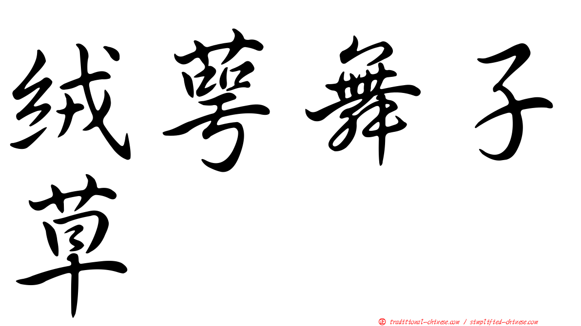 絨萼舞子草