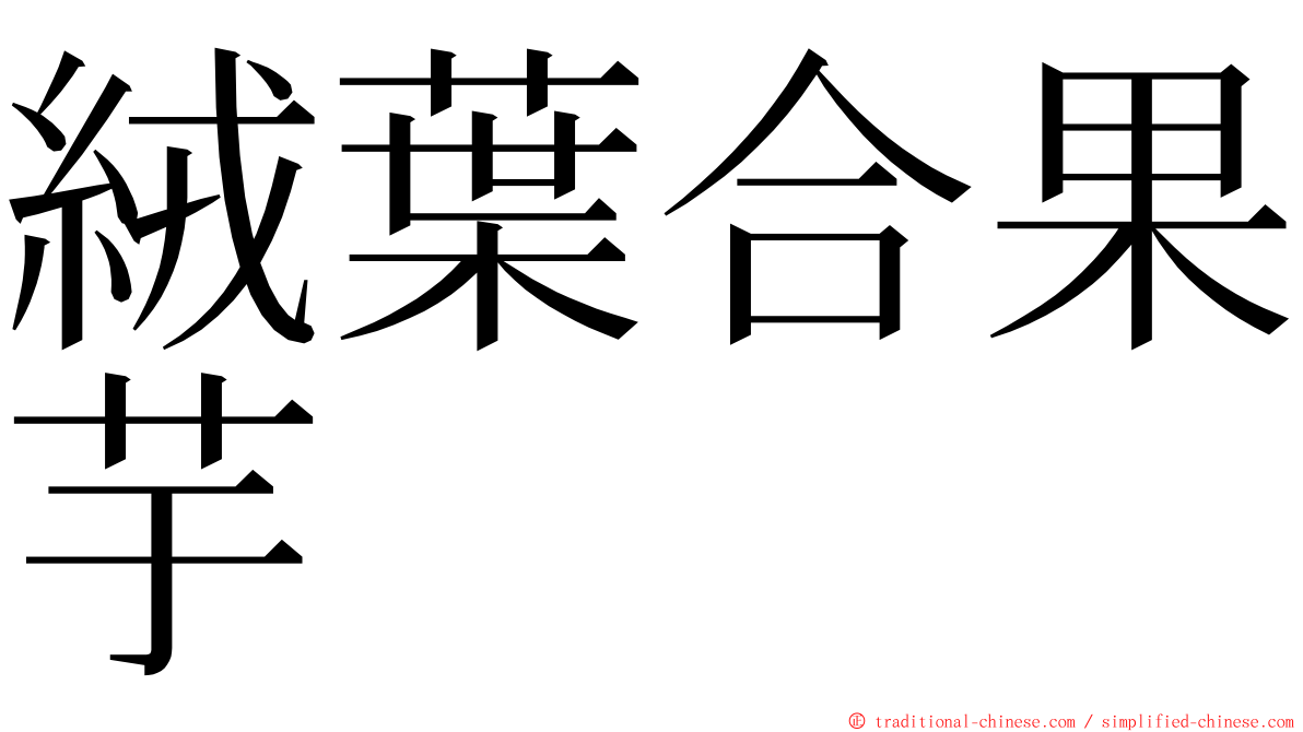 絨葉合果芋 ming font