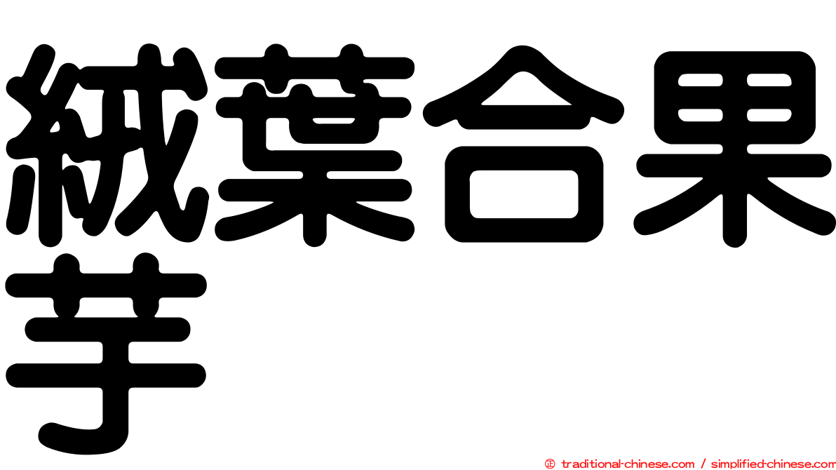 絨葉合果芋