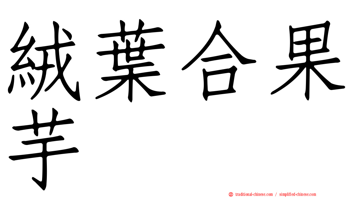 絨葉合果芋