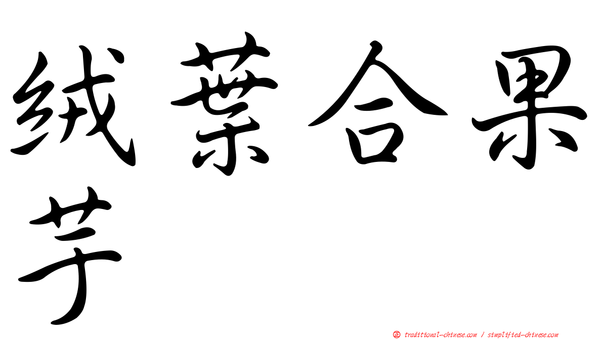 絨葉合果芋