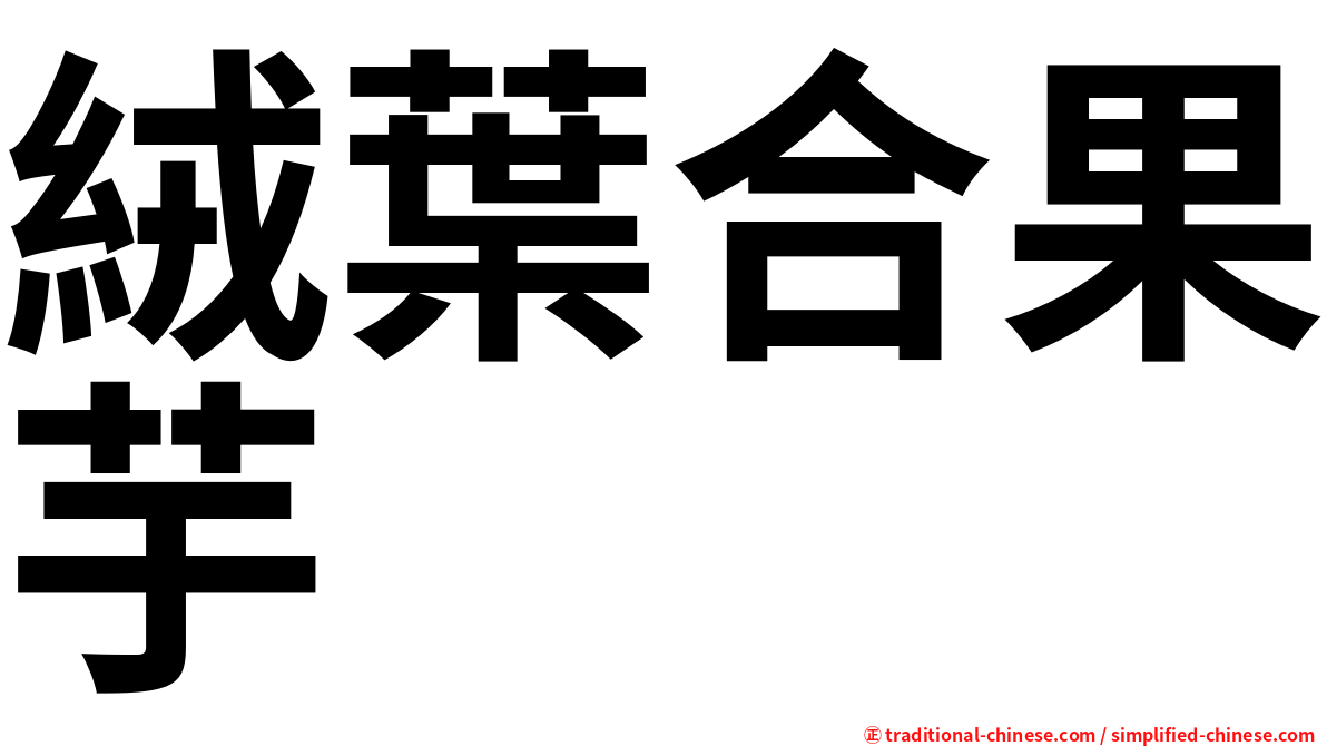 絨葉合果芋