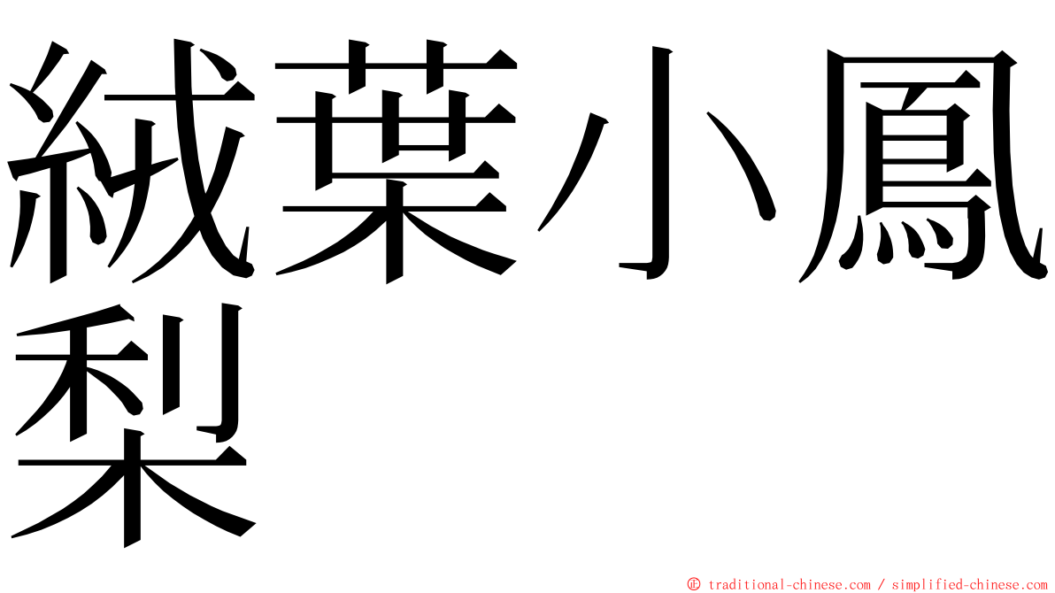 絨葉小鳳梨 ming font