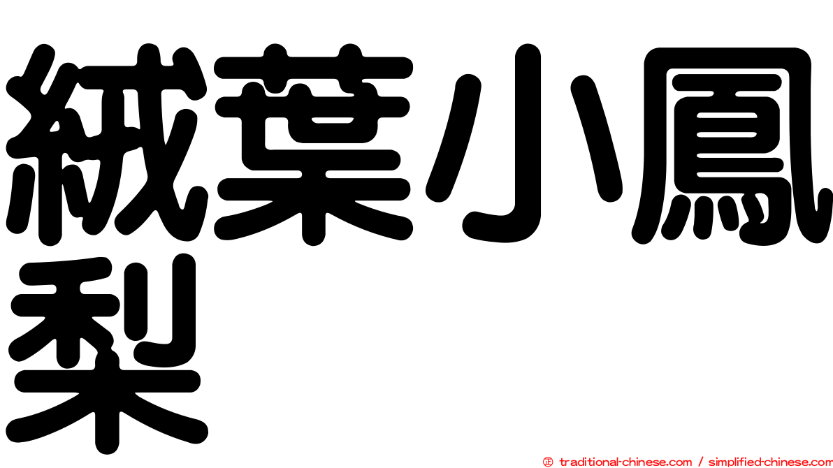 絨葉小鳳梨