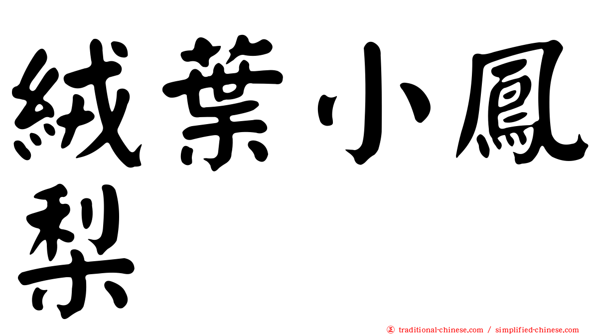 絨葉小鳳梨