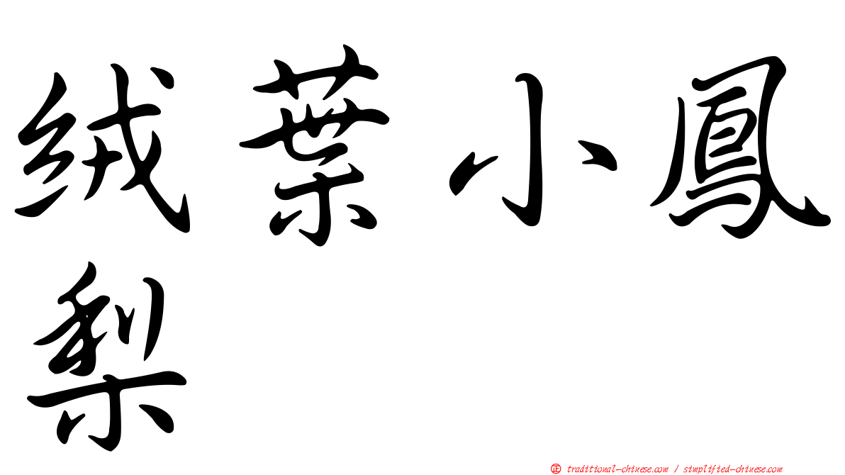 絨葉小鳳梨