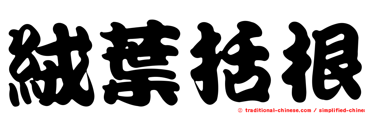 絨葉括根
