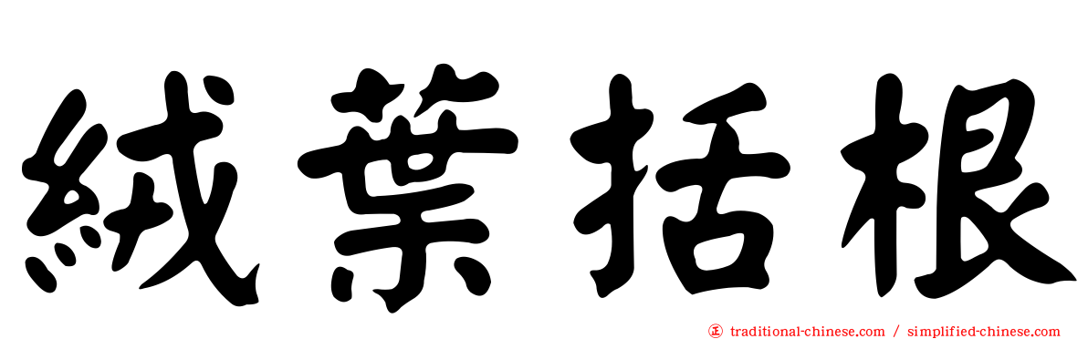 絨葉括根